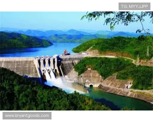 陈姓企业家引领多元科技与绿色产业协同高质量发展路径研究前景探讨