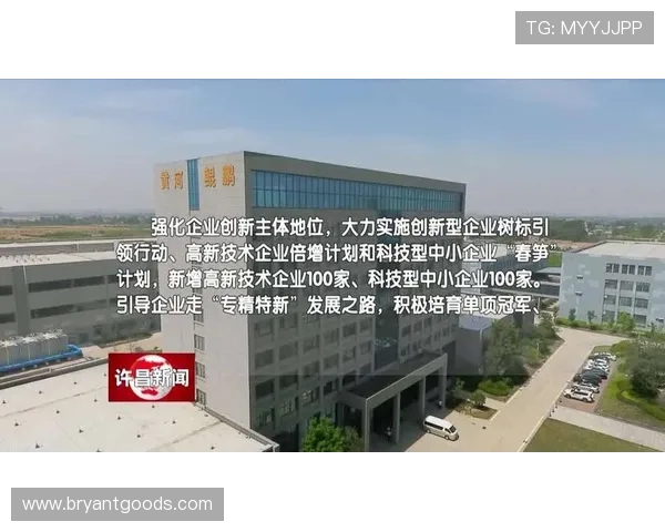 聚焦江阴企业家创新实践推动区域高质量发展路径与未来趋势探析思